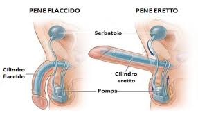 protesi al pene per problemi di erezione