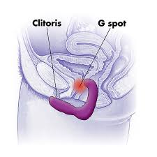 vibratore per il clitoride come funziona