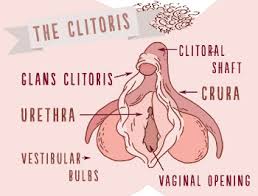 grandi clitoridi